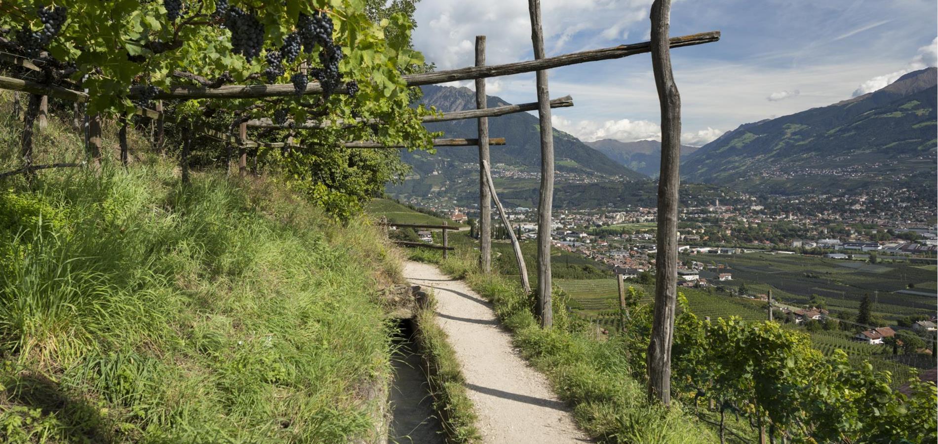 Aktiv-Marlinger Waalweg Ausblick-Marling-dp