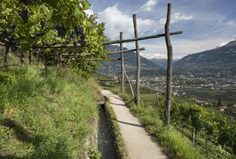 Sentiero della roggia di Marlengo