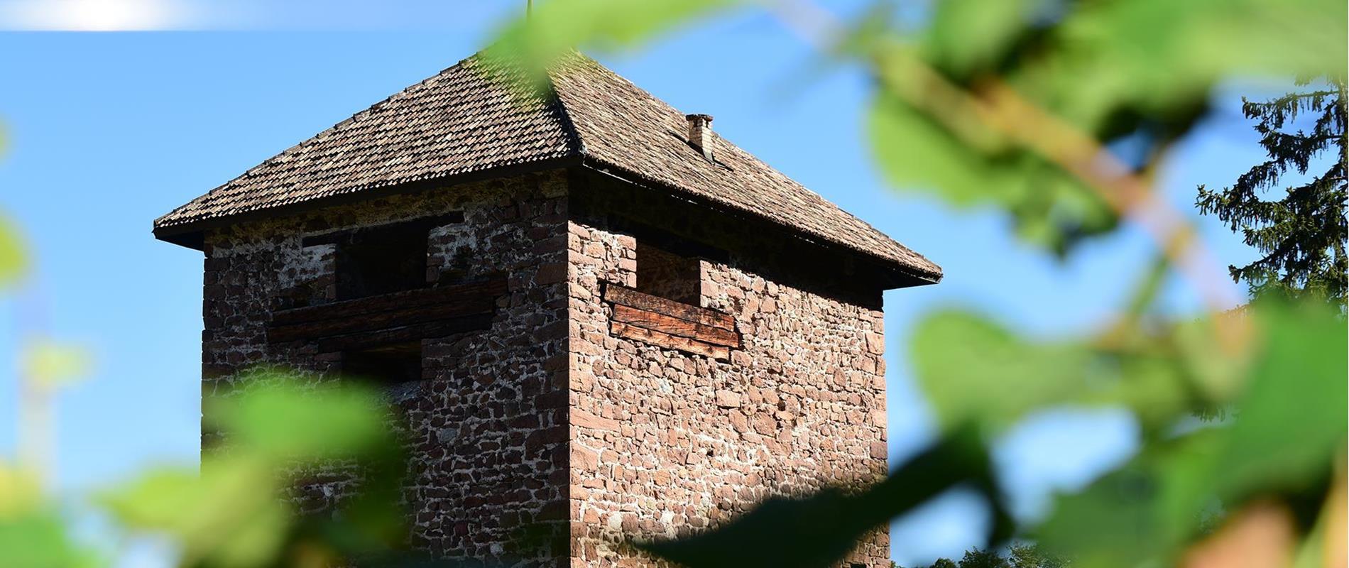 Castles & Manors in Nalles near Merano in South Tyrol