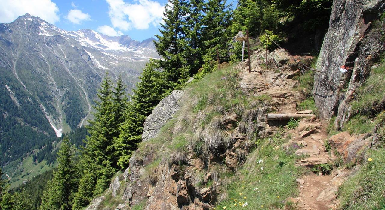 Aktivurlaub-Meraner Höhenweg Wandern Etappe Hochmuth Giggelberg-Partschins-TV