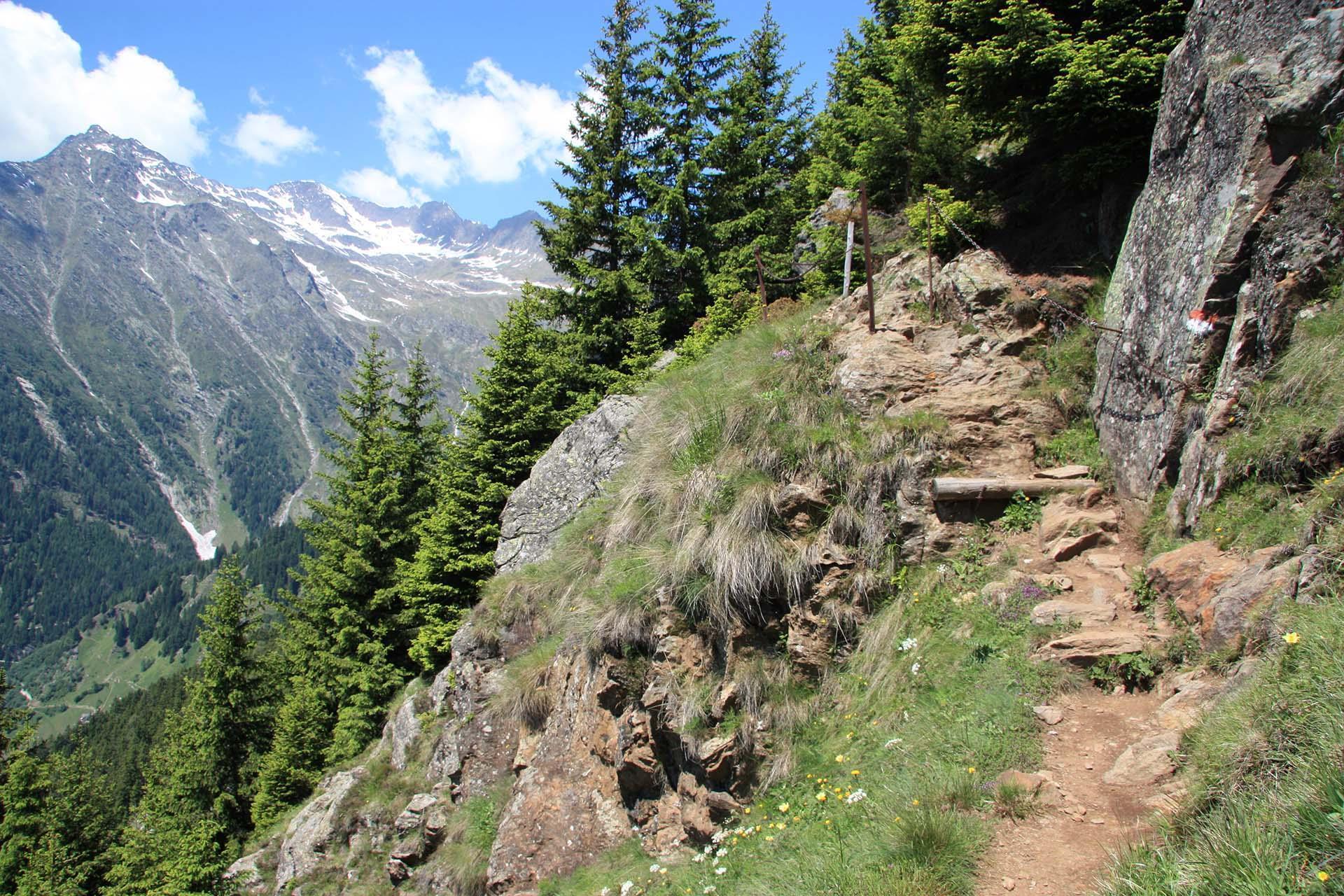 Aktivurlaub-Meraner Höhenweg Wandern Etappe Hochmuth Giggelberg-Partschins-TV