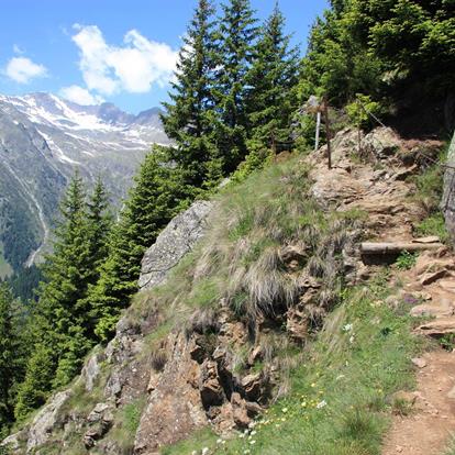 The Merano High Mountain Trail near Parcines