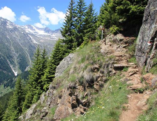 Aktivurlaub-Meraner Höhenweg Wandern Etappe Hochmuth Giggelberg-Partschins-TV