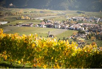 Aziende vinicole a Naturno