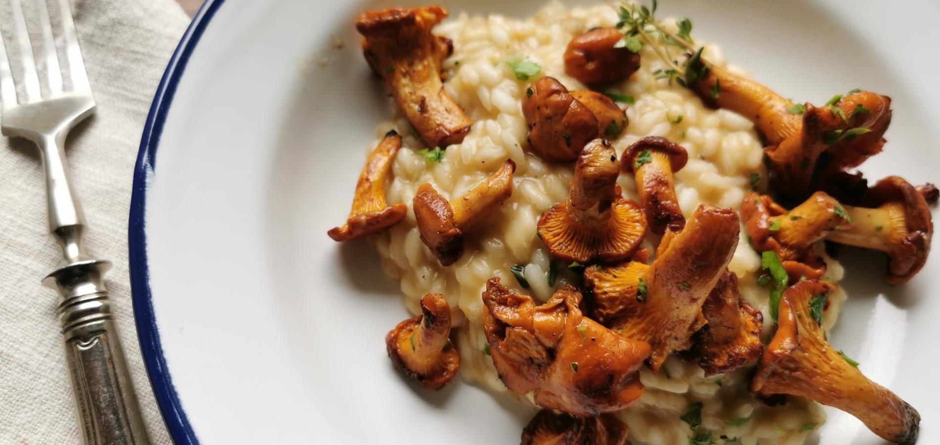 Risotto with chanterelles
