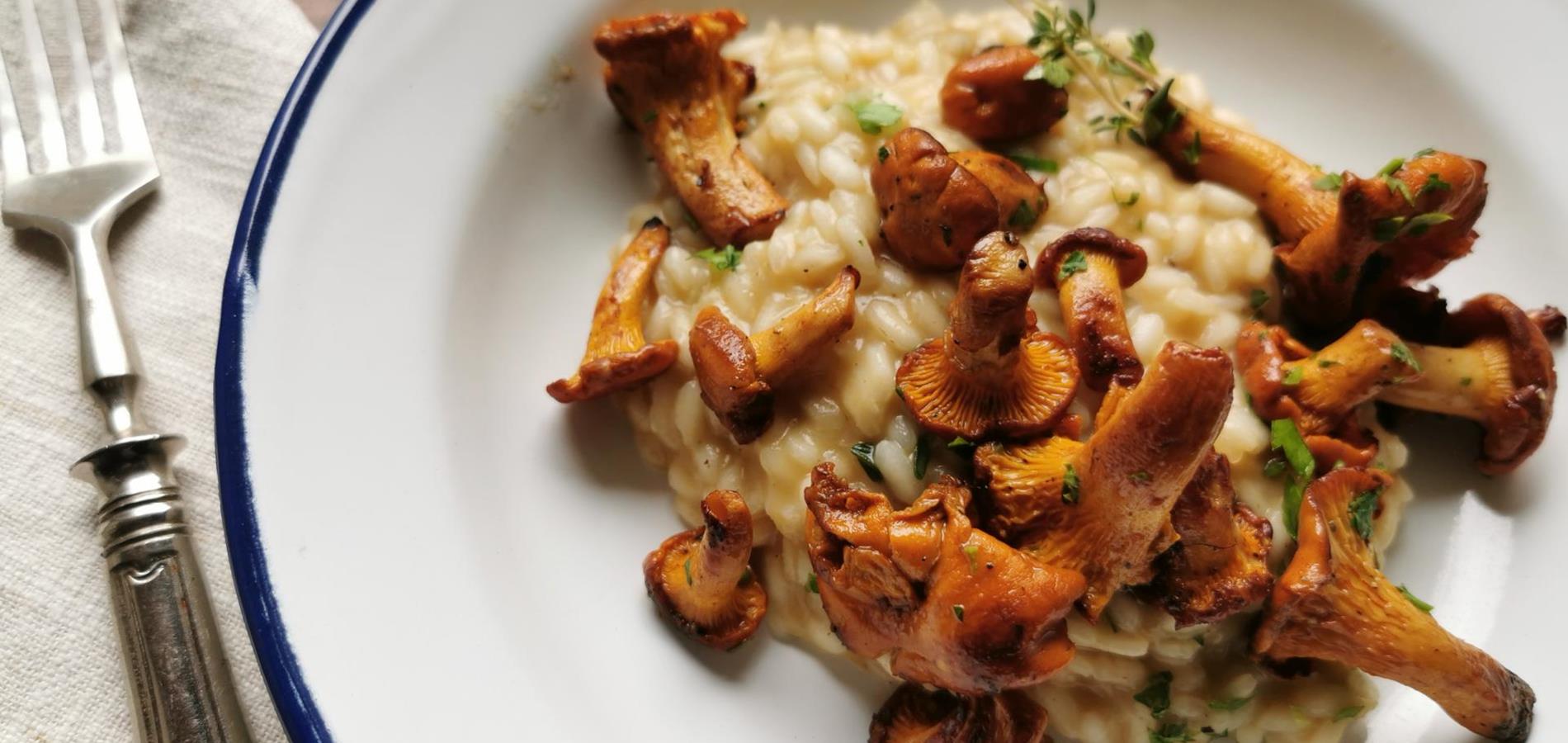 Risotto mit Pfifferlingen