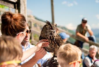 Centro Recupero Avifauna e dimostrazioni di voli con rapaci