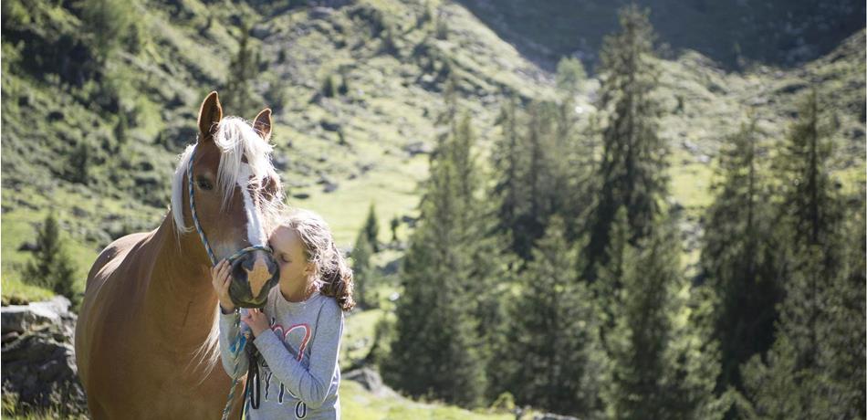Im Galopp durch  Wiesen und Wälder