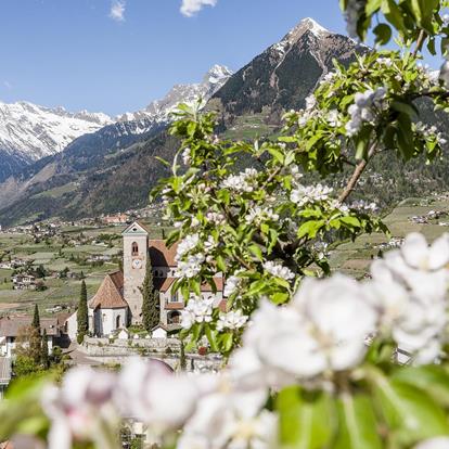 Kultur-Dorf-Schenna-kp[2]