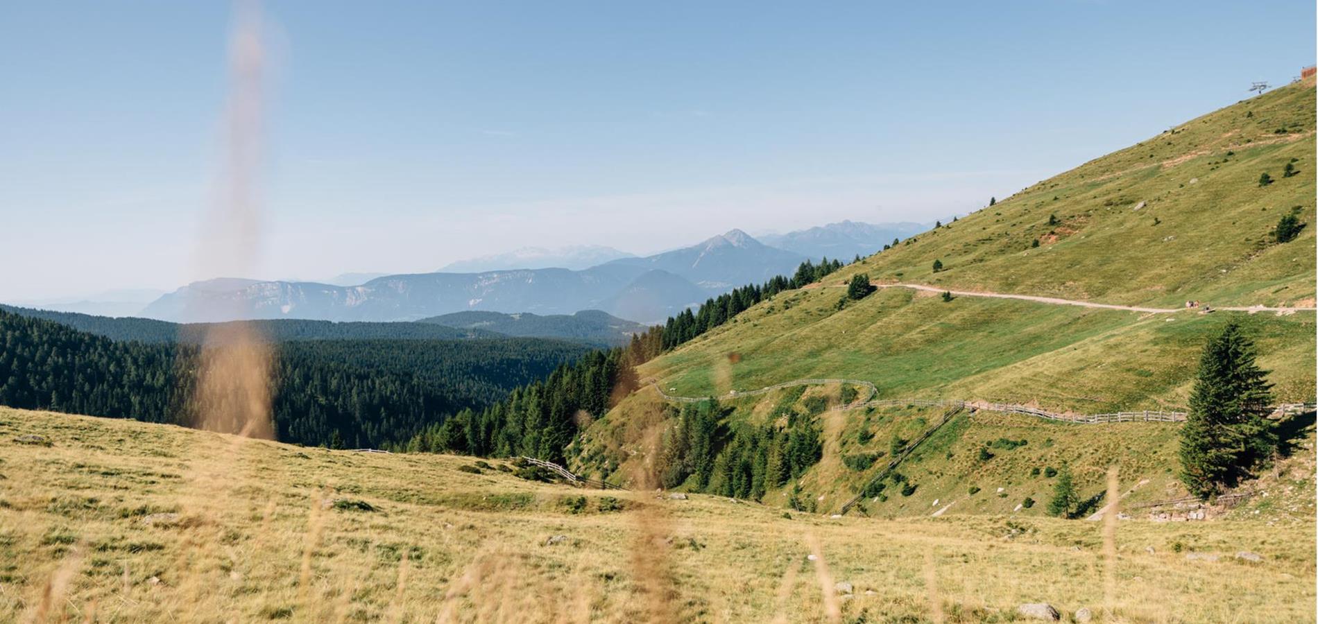 Respekt am Berg