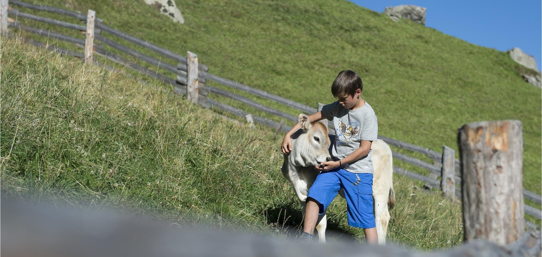 Bekanntschaften meran
