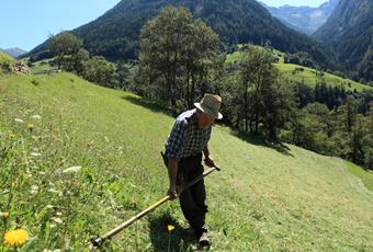 Bergbauernhilfe