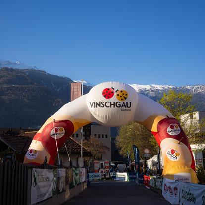 Alpenplus Ötzi Trailrun Naturns