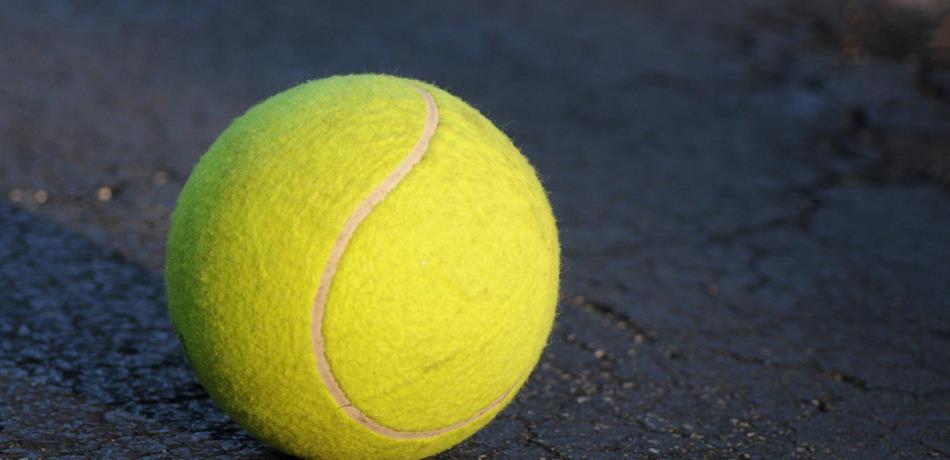 Tenis