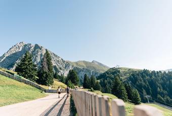 Geführte Wanderungen