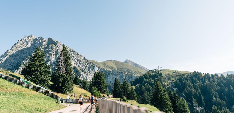Guided hiking tours