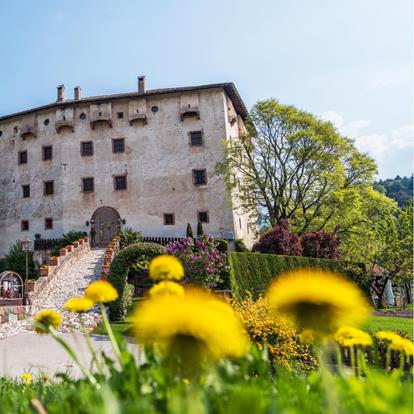 Castles & Palaces in Tesimo - Prissiano