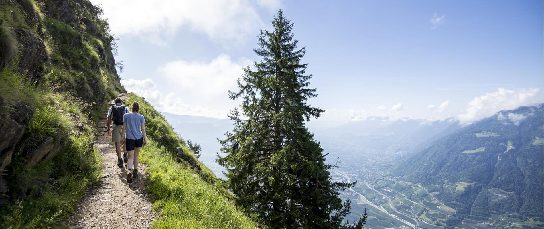 Der Meraner Höhenweg bei Partschins
