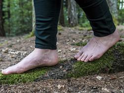 Tausche Handy gegen Wald