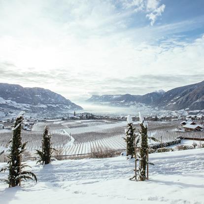 Vacanze invernali