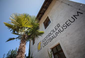 Musea en tentoonstellingen