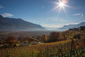 Südtirol Transfer