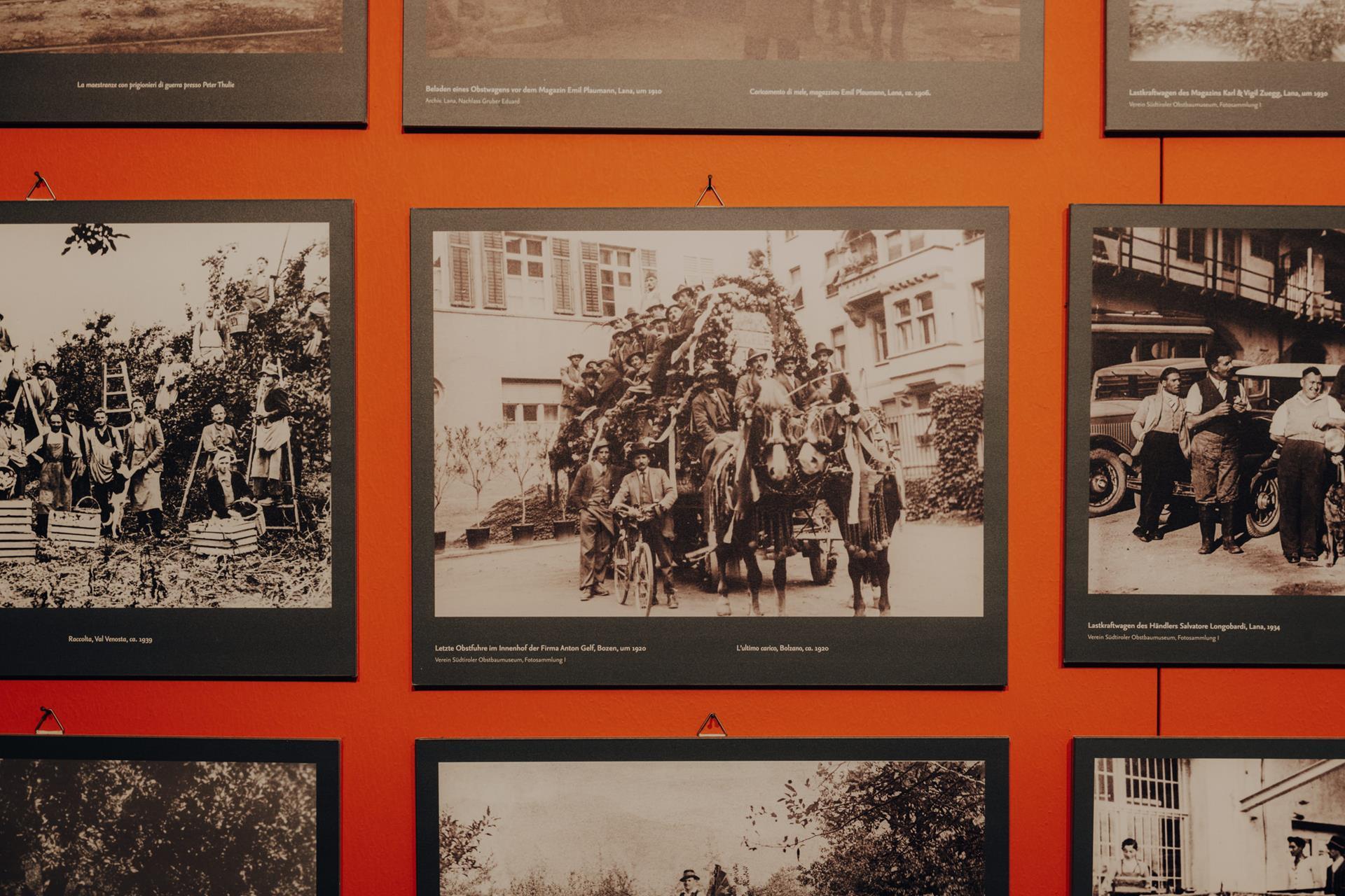 obstbaumuseum-maike-wittreck-3