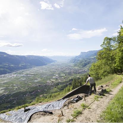 Echte Qualität am Berg