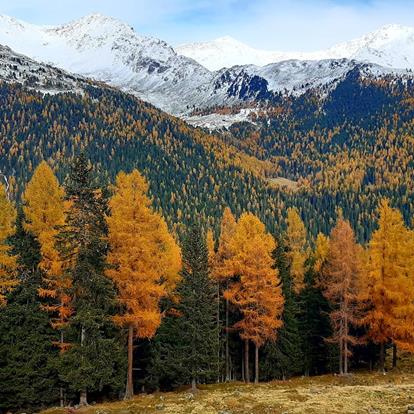 Ultental Valley