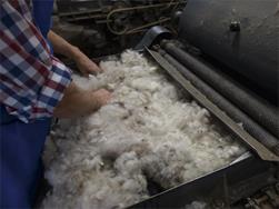 Experience wool craftsmanship · from wool to cardigan