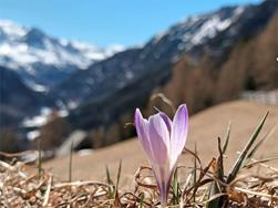 Spring Hike in the Stelvio National Park