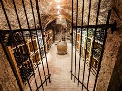 Wine Cellar Night 2024