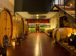 vineyard Plonerhof