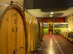 Faszination Wein: Weinkellerführung im Weingut Plonerhof