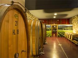 Faszination Wein: Weinkellerführung im Plonerhof in Marling