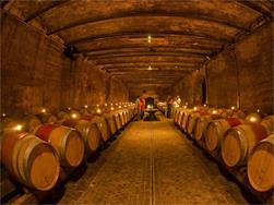 Wine Cellar Night 2023