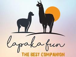 LAPAKAFUN: Escursioni guidate con lama e alpaca a Verano