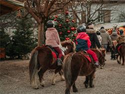Pony riding for children