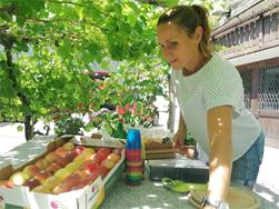 Apfelland Südtirol: Apfelführung in Plaus