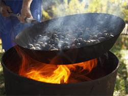 Chestnut roasting with the young farmers of Tesimo/Prissiano (KESCHTNRIGGL)