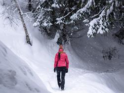 Snowshoe Tour with a Mountain Guide | Ulten Valley
