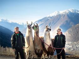 Lama-Erlebnis-Tag „Lamas, Berge & Natur“ am Birchberg/Plaus