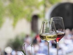 Wine & Culture in the Castle Schenna