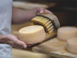 Visita guidata al maso Aignerhof con degustazione di formaggi a S. Leonardo