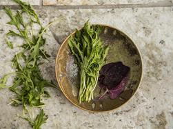 Wild herbs in the kitchen -