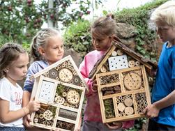 Familienprogramm: Zimmer frei für Biene & Co. im selbstgebauten Insektenhaus
