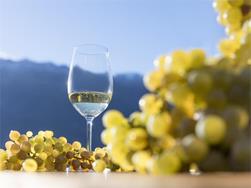 Vino & Gourmet - delizioso autunno a Naturno: 14/10 - 18/11/2023