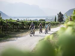 Bikeshuttle from the Lake Caldaro to Naturno