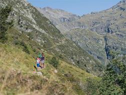 Alpenrosen und Gletscherblick: geführte Wanderung im hintersten Martelltal