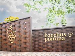 bacchus & pomina | eine Apfelwanderung einmal anders